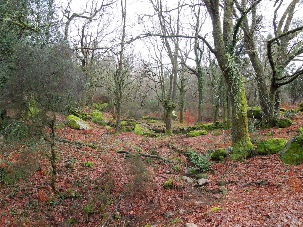Casa Sulfato Βίλα Campo do Geres Εξωτερικό φωτογραφία