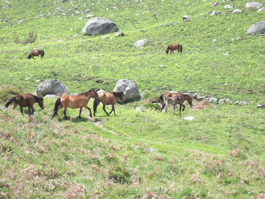 Casa Sulfato Βίλα Campo do Geres Εξωτερικό φωτογραφία