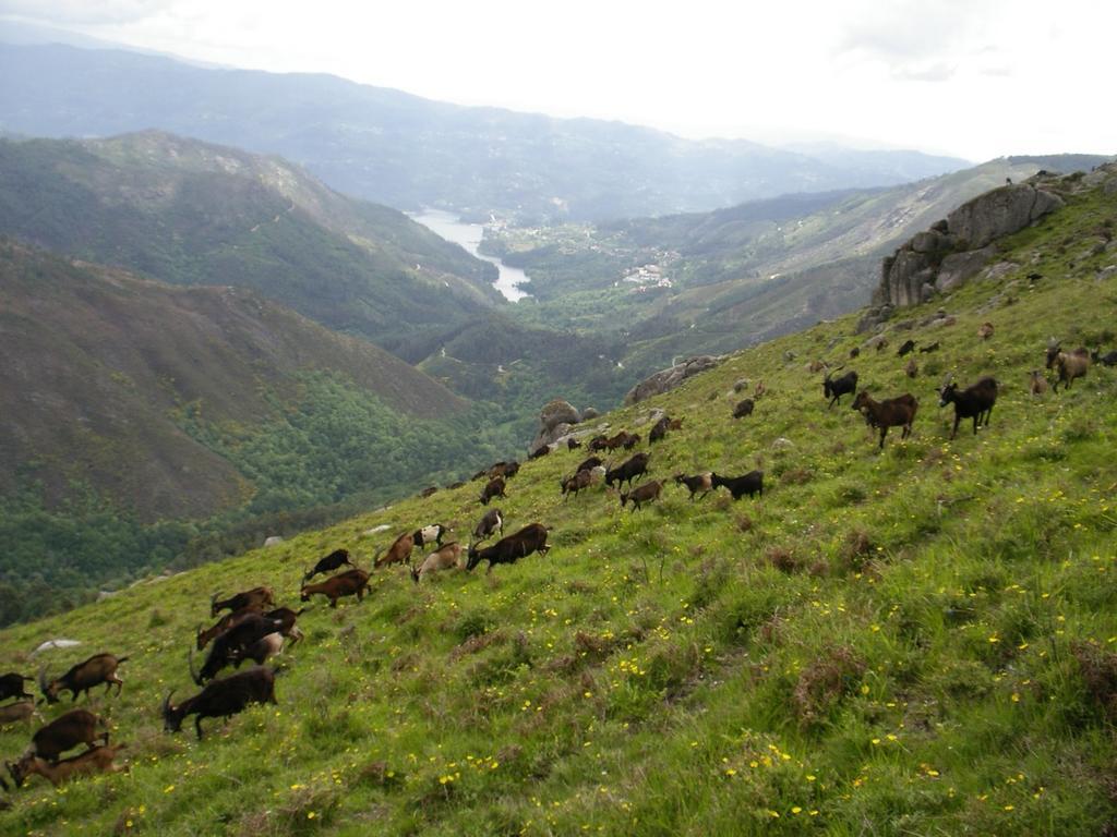 Casa Sulfato Βίλα Campo do Geres Εξωτερικό φωτογραφία